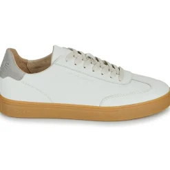 Clae Baskets Mode^- DEANE