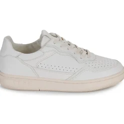 Clae Baskets Mode^- HAYWOOD