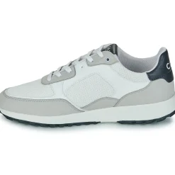 Clae Baskets Mode^- JOSHUA