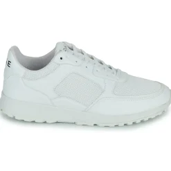 Clae - JOSHUA< Baskets Mode