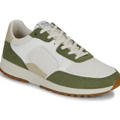 Clae Baskets Mode^- JOSHUA