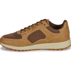 Clae Baskets Mode^- JOSHUA