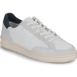 Clae - MONROE Online