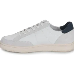 Clae - MONROE Online