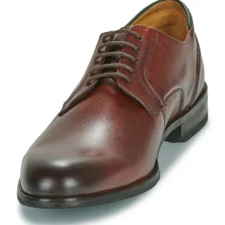 Clarks - CRAFTARLO LACE Marron New
