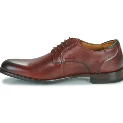 Clarks - CRAFTARLO LACE Marron New