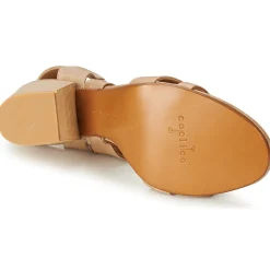 Coclico Sandales Et Nu-pieds^- CERSEI