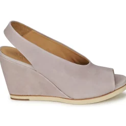 Coclico - NELS Violetclair Clearance