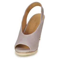 Coclico - NELS Violetclair Clearance