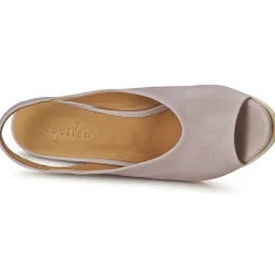 Coclico - NELS Violetclair Clearance