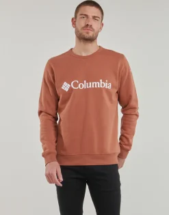 Columbia - CSC Basic Logo II Hoodie Marron New