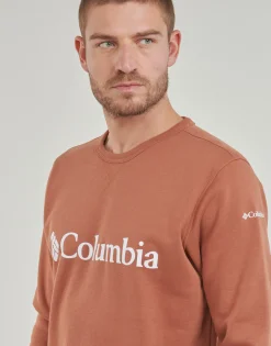 Columbia - CSC Basic Logo II Hoodie Marron New