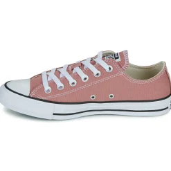 Converse - CHUCK TAYLOR ALL STAR Rose