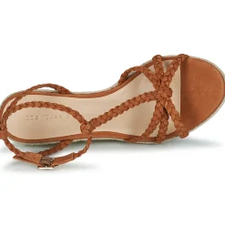 Cosmo Paris Mules / Sabots^- ROBBIE-BI