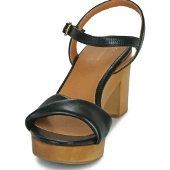 Cosmo Paris - VIXI-VEGPYT Noir Sale