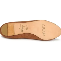 C.Petula - KING Camel New