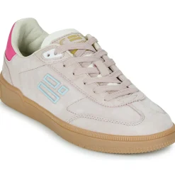 D.Franklin - 387 REBEL Rose Outlet