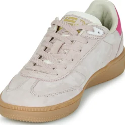 D.Franklin - 387 REBEL Rose Outlet