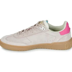 D.Franklin - 387 REBEL Rose Outlet