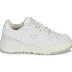 D.Franklin - COURT 321< Baskets Mode
