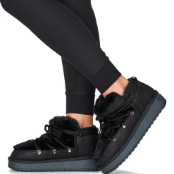 D.Franklin - NORDIC 370< Bottines / Boots
