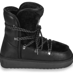 D.Franklin Bottines / Boots^- NORDIC 370