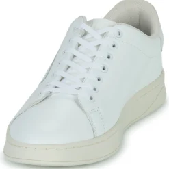 Diesel Baskets Mode^- S-ATHENE LOW