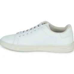 Diesel Baskets Mode^- S-ATHENE LOW