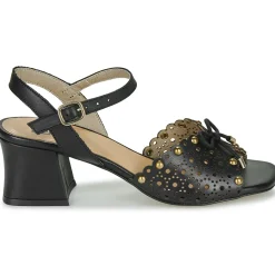 Dorking - LARUS Noir Clearance