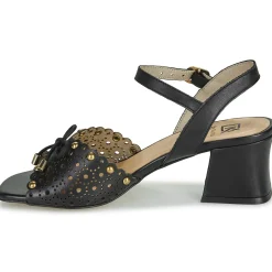 Dorking - LARUS Noir Clearance