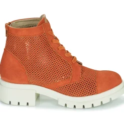 Dorking - NIDUS< Bottines / Boots