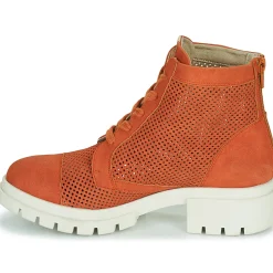 Dorking - NIDUS< Bottines / Boots