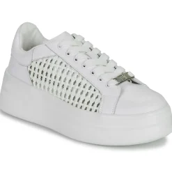Dorking - SWIFT< Baskets Mode