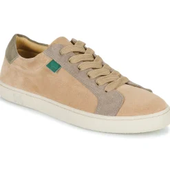 Dream in Green - ACANTHE Beige Best