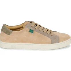 Dream in Green - ACANTHE Beige Best