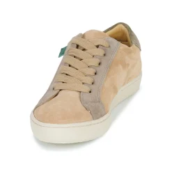 Dream in Green - ACANTHE Beige Best