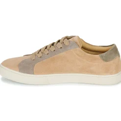 Dream in Green - ACANTHE Beige Best