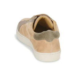 Dream in Green - ACANTHE Beige Best