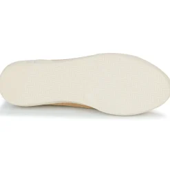 Dream in Green - ACANTHE Beige Best