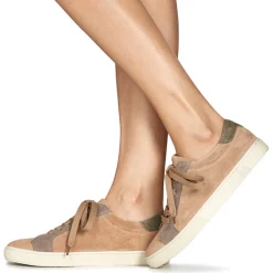 Dream in Green - ACANTHE Beige Best