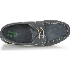 Dream in Green - ANTERO Marine Best