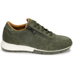 Dream in Green - ARTEMISIA< Baskets Mode