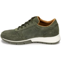 Dream in Green - ARTEMISIA< Baskets Mode
