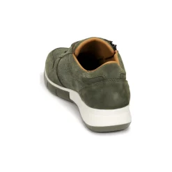 Dream in Green - ARTEMISIA< Baskets Mode