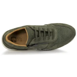 Dream in Green - ARTEMISIA< Baskets Mode