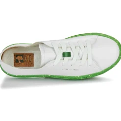 Dream in Green - JOBI< Baskets Mode