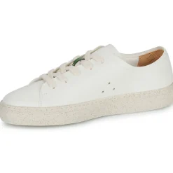 Dream in Green - JOBI Beige Sale