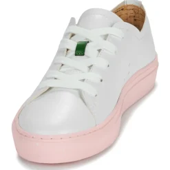 Dream in Green Baskets Mode^- JOBI