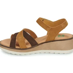 Dream in Green - LISA marine Discount