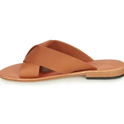 Dream in Green - MARNITO Camel Hot